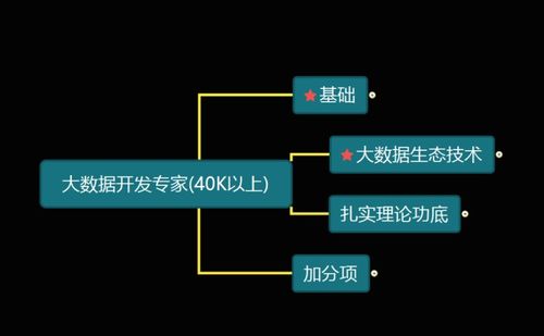 大數(shù)據(jù)開(kāi)發(fā)工程師必備技能 軟實(shí)力與硬實(shí)力全解析